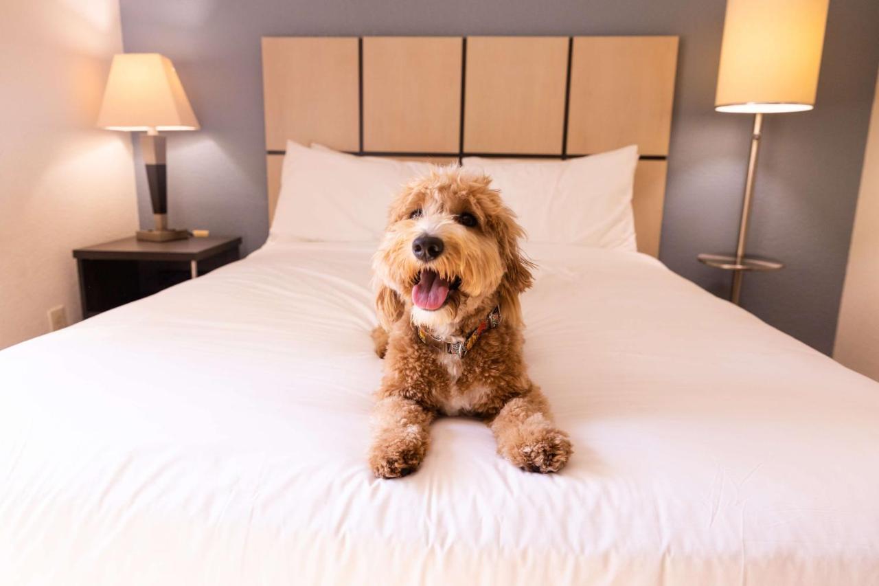 Sonesta Simply Suites Detroit Troy Exteriör bild